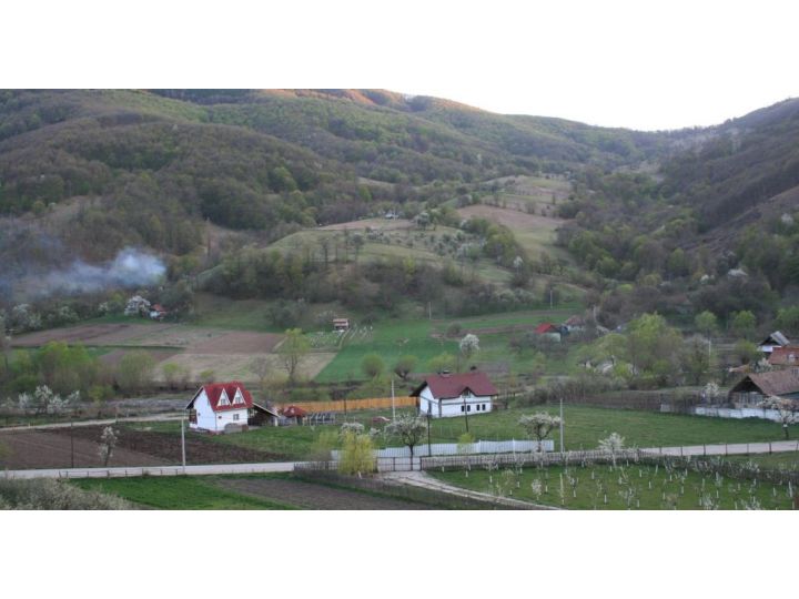 Vila Poiana Galdei, Poiana Galdei - imaginea 