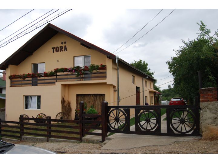 Pensiunea Casa Tora, Tasnad - imaginea 