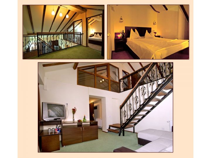 Hotel Artmontana, Predeal - imaginea 