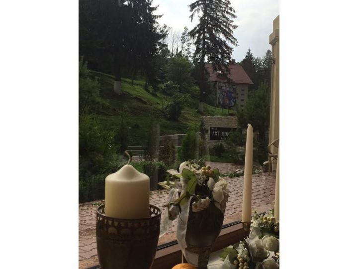 Hotel Artmontana, Predeal - imaginea 