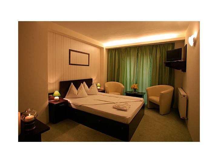 Hotel Artmontana, Predeal - imaginea 