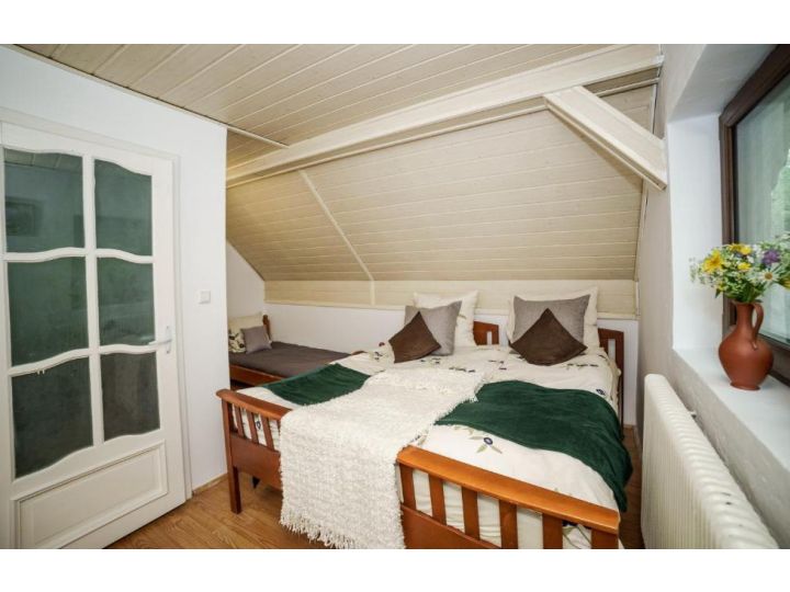 Cabana Valea Rea, Pietroasa - imaginea 