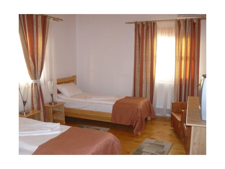 Pensiunea Ara, Alba-Iulia - imaginea 