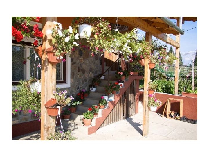 Cabana Curmaturi, Alba - imaginea 