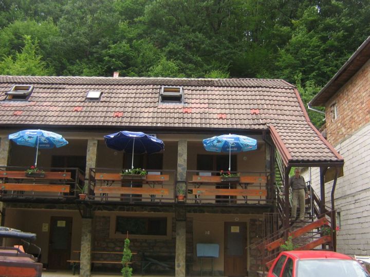 Vila Florilor, Moneasa - imaginea 