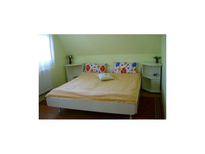 Pensiunea Casa Verde, Vartop - imaginea 