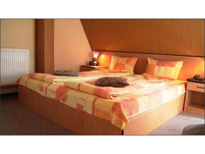 Pensiunea Casa Vinga, Poiana Brasov - imaginea 