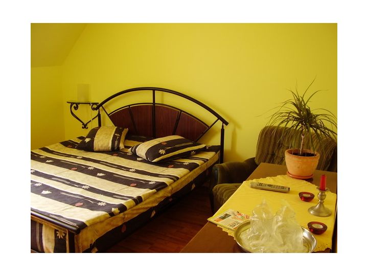 Pensiunea Casa Leone, Timisoara - imaginea