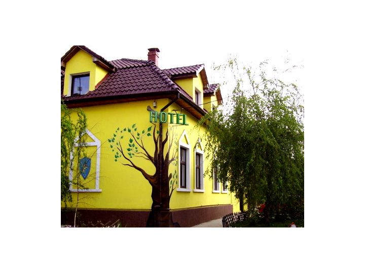 Pensiunea Casa Leone, Timisoara - imaginea