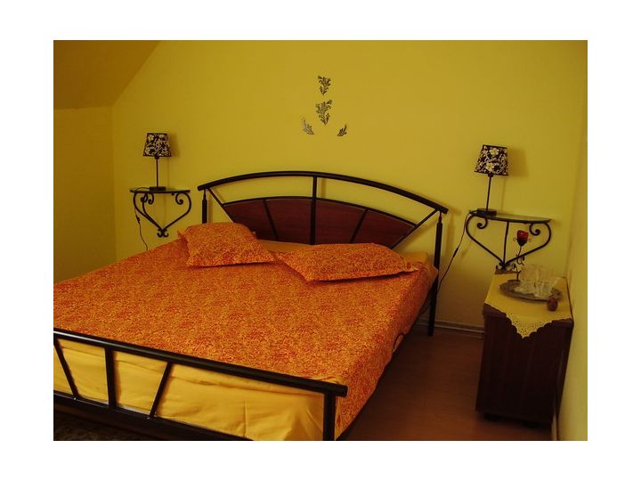 Pensiunea Casa Leone, Timisoara - imaginea
