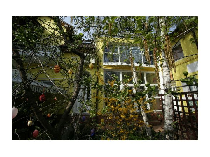Pensiunea Casa Leone, Timisoara - imaginea
