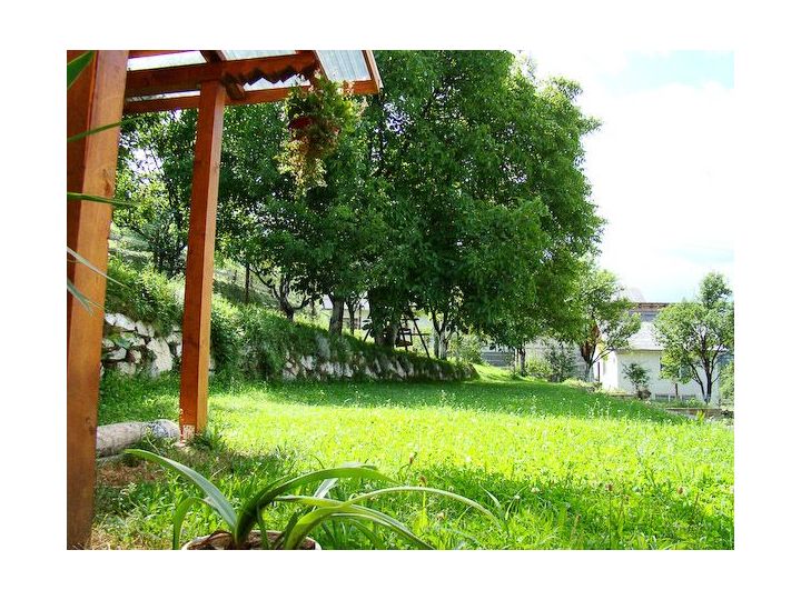 Pensiunea Vaser, Viseu de Sus - imaginea 