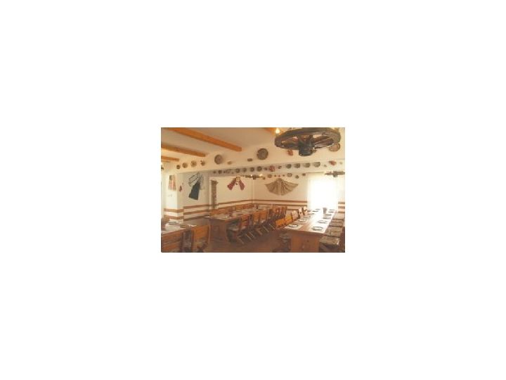 Hostel Casa Olteneasca, Aldesti - imaginea