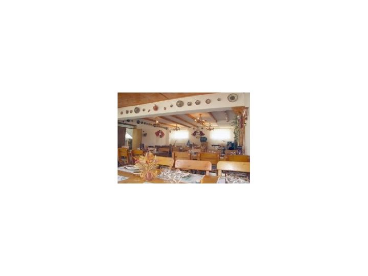 Hostel Casa Olteneasca, Aldesti - imaginea