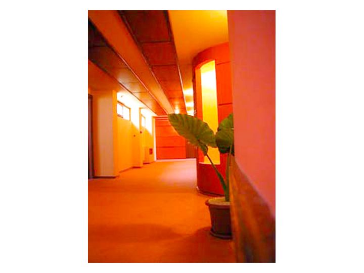 Hotel Phoenix, Arad oras - imaginea 