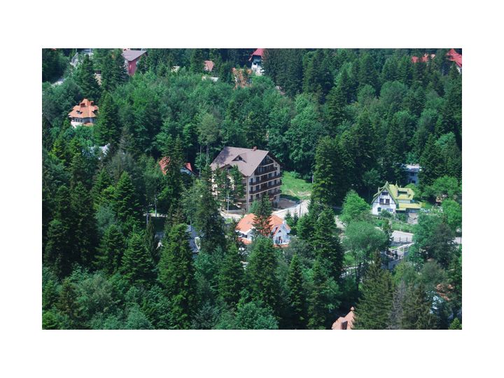 Hotel Regal, Sinaia - imaginea 