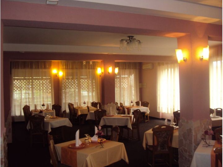 Pensiunea Regal, Satu Mare oras - imaginea