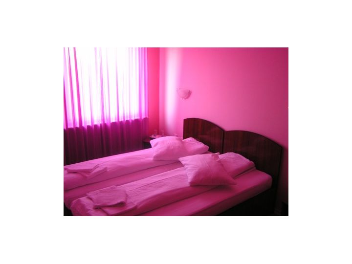 Pensiunea Regal, Satu Mare oras - imaginea