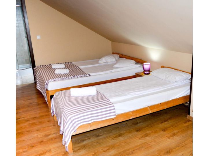 Pensiunea Franzdorf Alpin, Valiug Crivaia - imaginea 