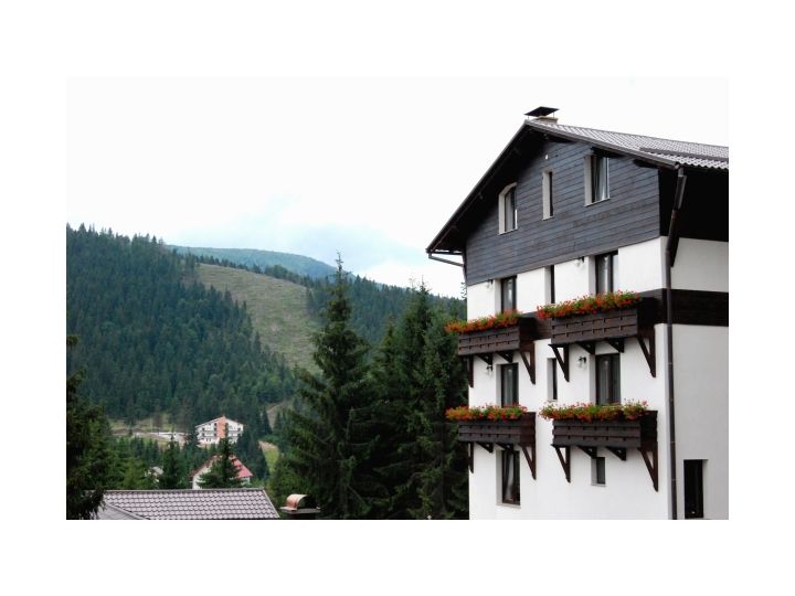 Pensiunea Panoramic, Vartop - imaginea 