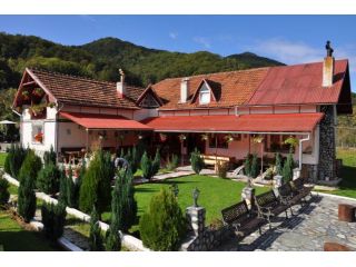 Pensiunea Florina, Poiana Marului - 3