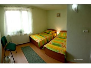Hostel Doua Salcii, Aiud - 5