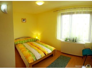 Hostel Doua Salcii, Aiud - 2