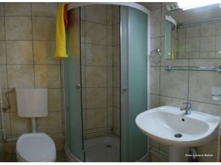 Hostel Doua Salcii, Aiud - 3
