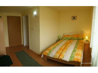 Hostel Doua Salcii, Aiud - 4