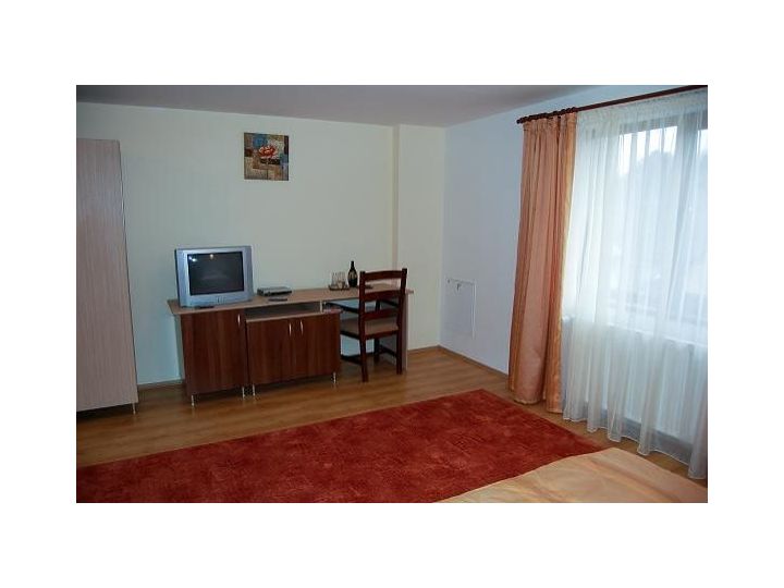 Pensiunea Casa David, Almasu Mare - imaginea 