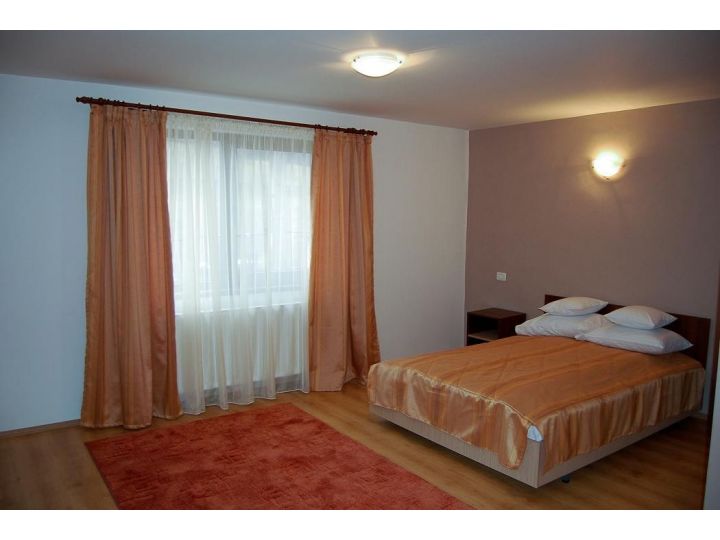 Pensiunea Casa David, Almasu Mare - imaginea 