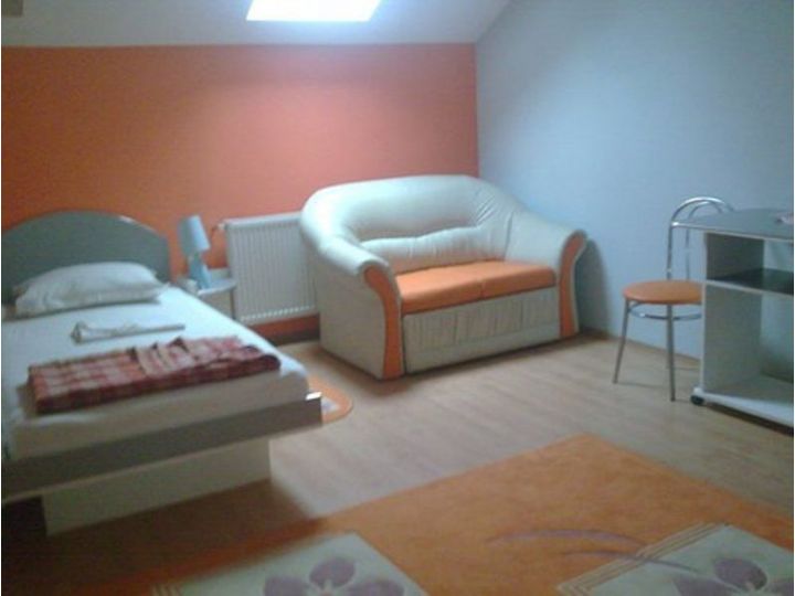 Pensiunea Popas Paradis, Buzias - imaginea 