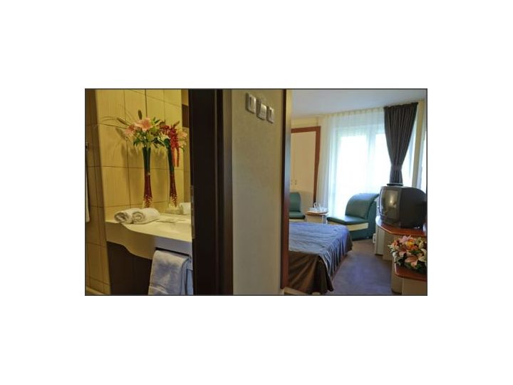 Hotel Bradul, Vatra Dornei - imaginea 