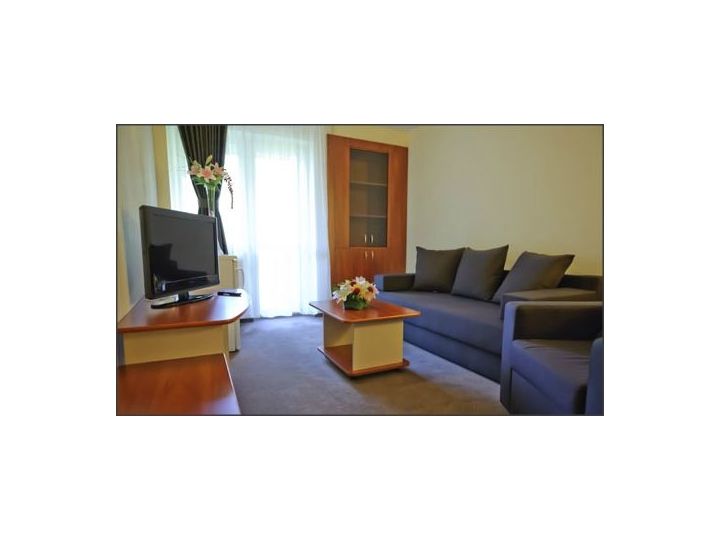 Hotel Bradul, Vatra Dornei - imaginea 