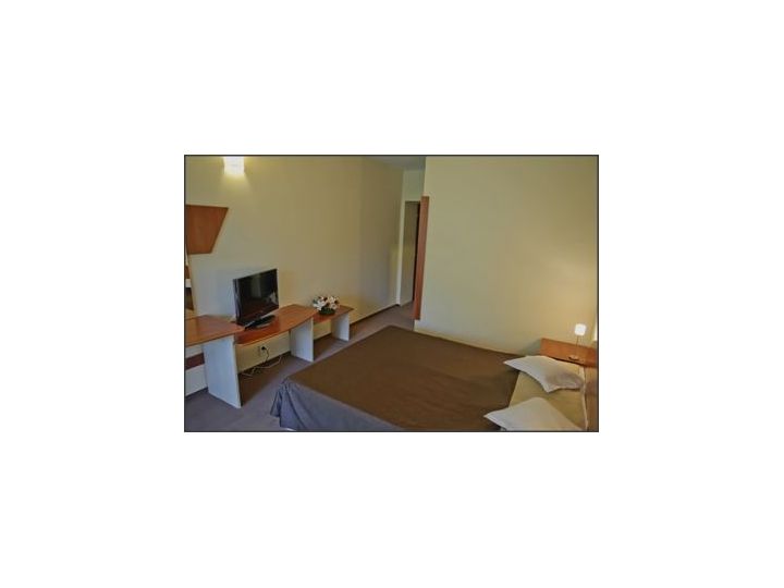 Hotel Bradul, Vatra Dornei - imaginea 