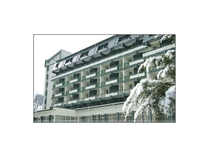 Hotel Bradul, Vatra Dornei - imaginea 