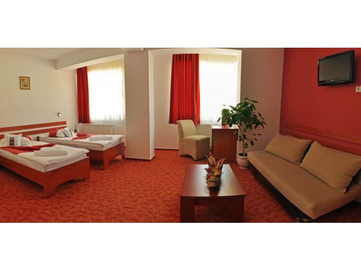 Hotel Alexis, Cluj-Napoca - imaginea 