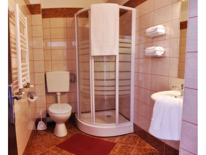 Hotel Alexis, Cluj-Napoca - imaginea 