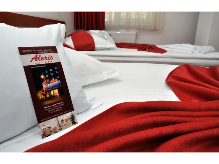 Hotel Alexis, Cluj-Napoca - imaginea 