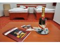 Hotel Alexis, Cluj-Napoca - thumb 10