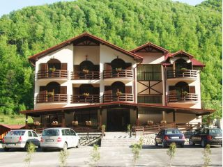 Pensiunea Carpathia, Remeti - 3