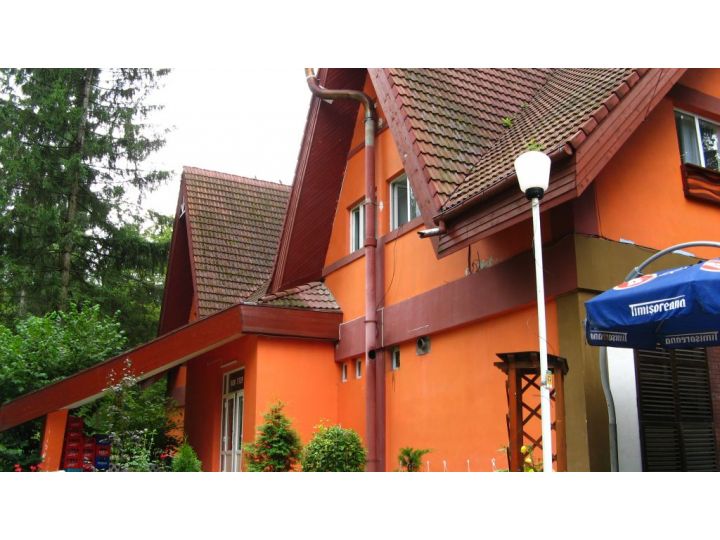 Pensiunea Happy Inn, Vatra Dornei - imaginea 
