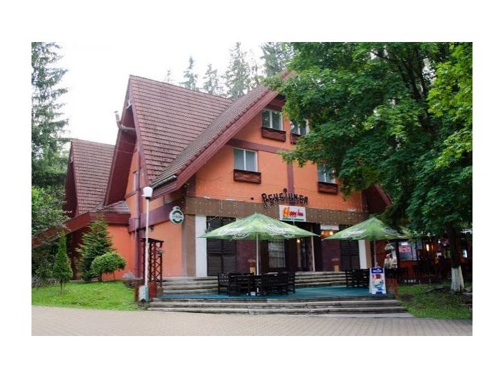 Pensiunea Happy Inn, Vatra Dornei - imaginea 