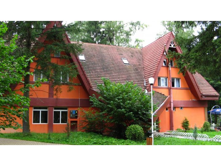 Pensiunea Happy Inn, Vatra Dornei - imaginea 