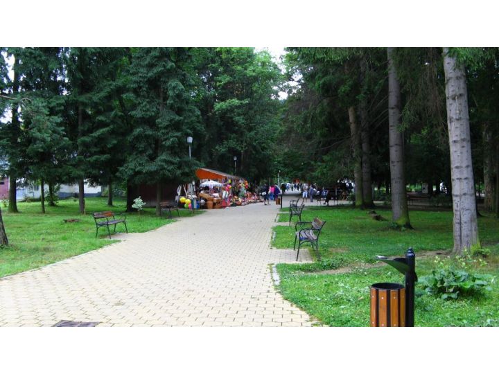 Pensiunea Happy Inn, Vatra Dornei - imaginea 