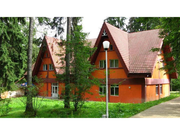Pensiunea Happy Inn, Vatra Dornei - imaginea 