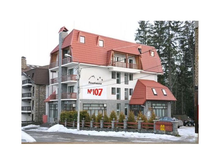 Pensiunea Nr 107, Predeal - imaginea 