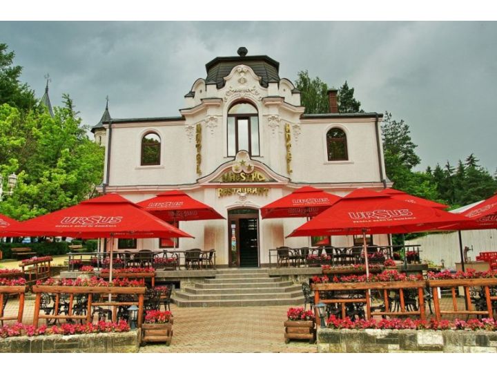Hotel Maestro, Vatra Dornei - imaginea 