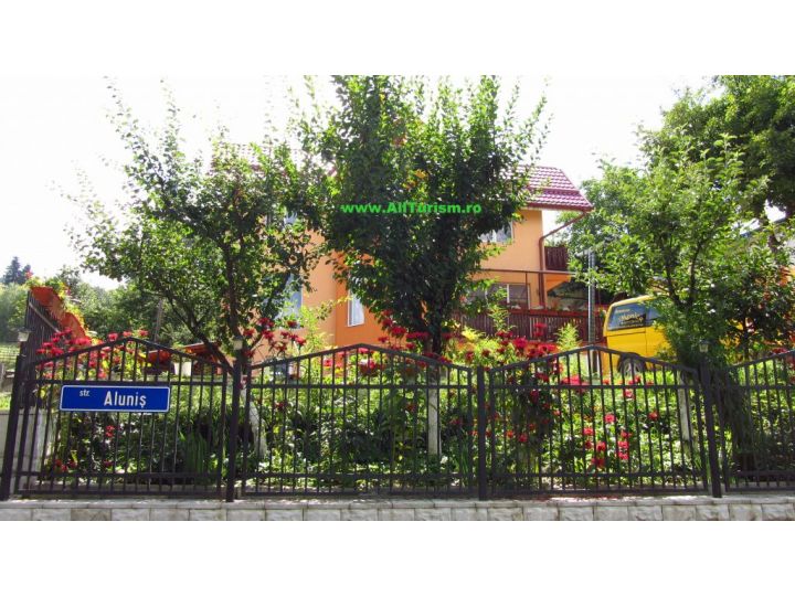 Vila Monica, Vatra Dornei - imaginea 