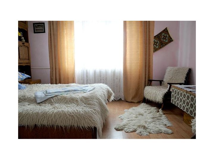 Pensiunea Poarta Calimani, Saru Dornei - imaginea 